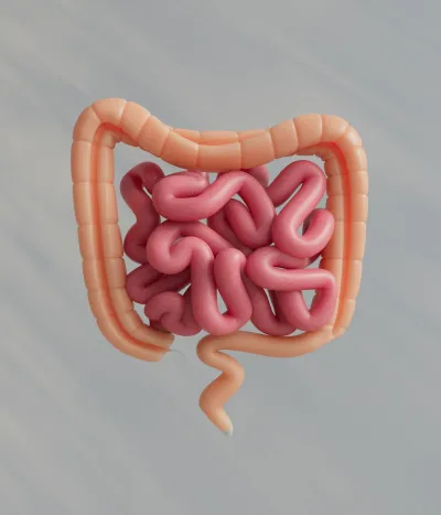 Gastroenterologia