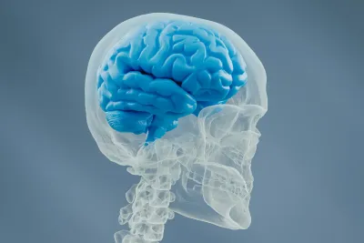 Neurologia
