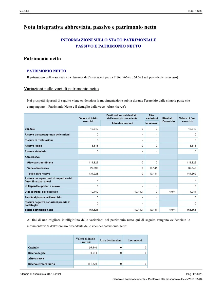Bilancio — pagina 17 di 28