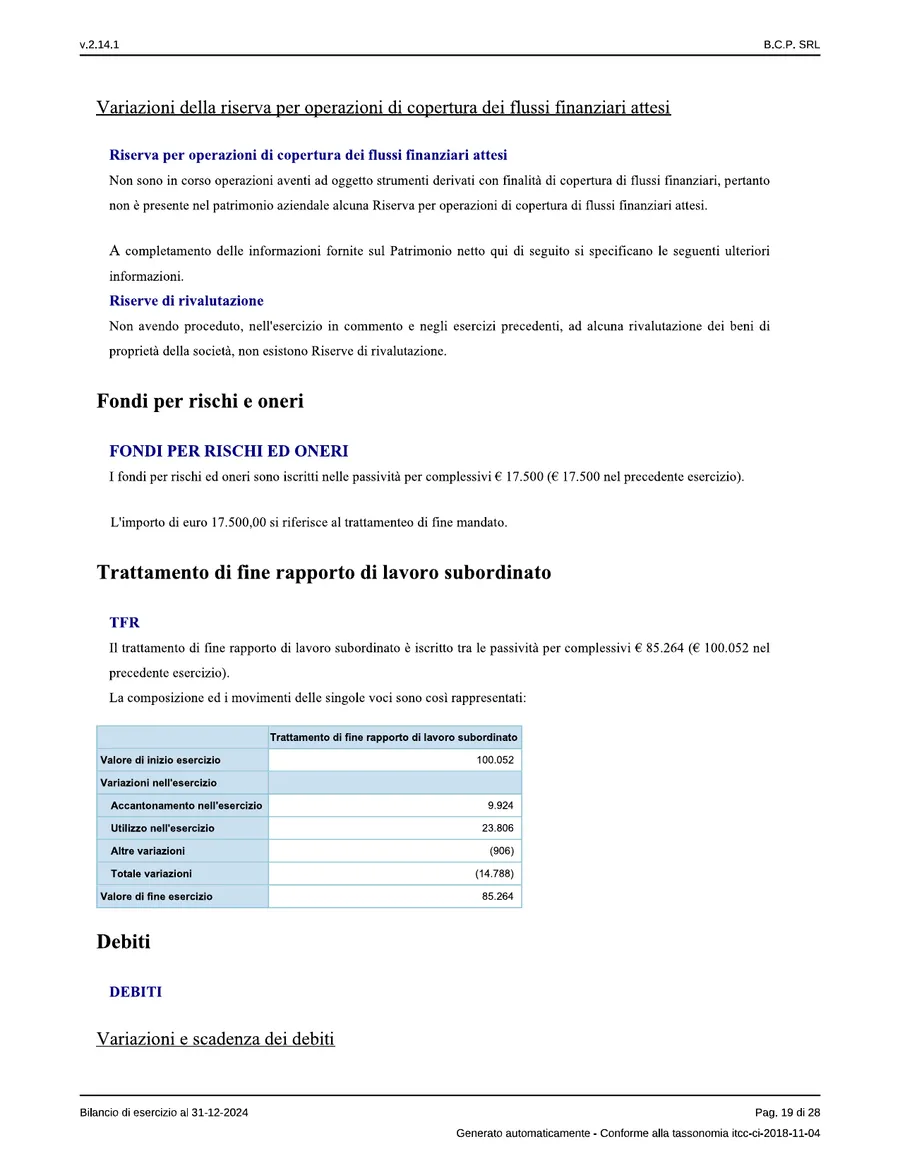Bilancio — pagina 19 di 28