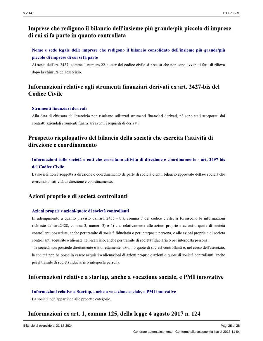 Bilancio — pagina 25 di 28